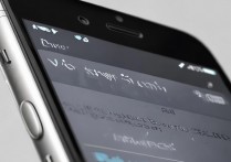 苹果6splus震动怎么调？苹果6splus震动设置方法