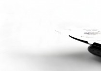 vivo rev1.20.3怎么安装与使用？