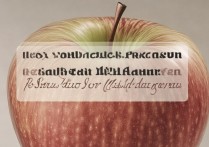 苹果怎么查看处理器的代生产商，苹果处理器代工厂商查询方法