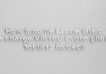 vivo第一次充电充多久