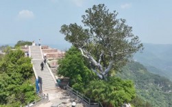 沁阳神农山风景区门票