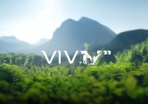 vivo开机图片壁纸