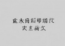 vivox3l英文怎么变中文？手机设置中文步骤