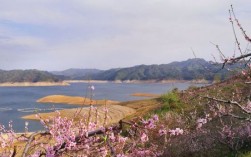 桃花岛风景区图片