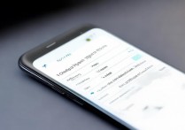 vivo手机如何查看充电时间显示设置？