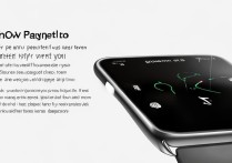 oppo手表支付怎么用？新手操作步骤详解