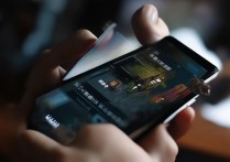 华为畅玩5x玩大型游戏会卡吗？帧数稳定吗？