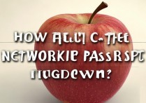 苹果还原网络密码忘记了怎么办，苹果手机网络密码找回方法