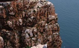 海驴岛风景区好玩吗