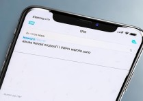 苹果手机7连接WiFi后，如何查看已连WiFi的密码？