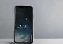 苹果手机怎么查看英寸？苹果手机屏幕尺寸在哪里看