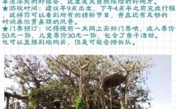 东乌旗旅游攻略，如何规划一次完美的旅行体验？