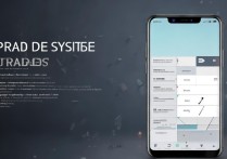 vivoy23l怎么升级系统？详细步骤和注意事项有哪些？