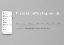 vivo手机如何设置闪拍功能？开启教程与步骤详解