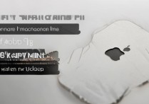 苹果开机键掉漆怎么办，苹果手机开机键掉漆修复方法