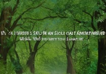 微信状态背景图好友能看到吗？显示状态怎么设置？