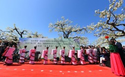 刘村梨园风景区梨花节