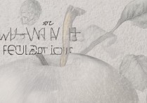 苹果怎么自定义墙纸，苹果手机壁纸设置方法详解