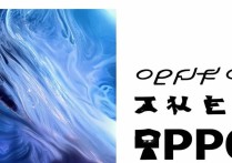 oppo21 图片在哪里看？