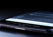 vivox9升级包怎么用？详细步骤教程在这里