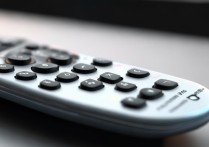 什么是vivo账户密码
