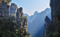 大方油杉河风景区