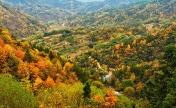 金寨风景区