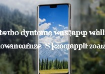 华为手机怎么自定义壁纸尺寸？