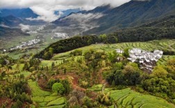 婺源县江岭风景区