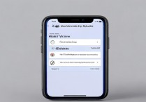 苹果6s震动功能怎么设置?震动模式开关在哪找?