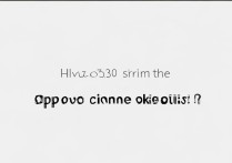 oppo手机桌面图标怎么变小？30字内疑问长尾标题