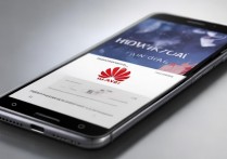 华为怎么卡主题？华为设置主题黑屏解决方法