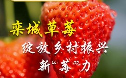 栾城采摘草莓门票多钱