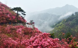 黄陂云雾山风景区