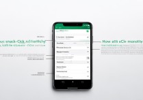 微信月账单怎么查？手把手教你账单查询方法