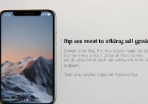 小米怎么查手机型号