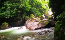 四川黑竹沟风景区