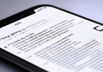 oppo手机浏览器页面字体怎么调大？