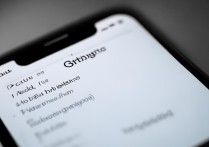 苹果6自动亮度怎么设置