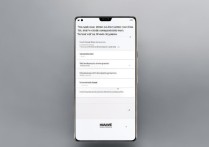 华为手机如何查看ping值测试网络延迟？