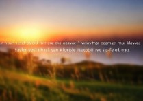 vivo手机壁纸虚化怎么调？虚化壁纸设置方法分享