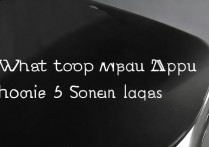 苹果5手机屏幕黑屏了怎么办啊？