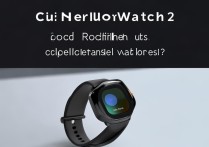 红米Redmi Watch2支持蜂窝网络吗？实测解答来了！