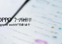 OPPO手机手写功能在哪里设置？详细步骤是什么？