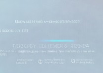 三星i9300Home键如何设置成语音助手？