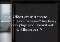 苹果电话看视频没声音怎么办？视频播放无声怎么解决？