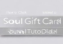 Soul礼品卡怎么看？Soul礼品卡查看教程一览在哪找？