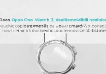 oppo watch2蓝牙版回微信需连WiFi吗？语音通话功能怎么开？