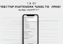 苹果6如何设置绘图解锁?详细步骤是什么?