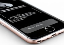 苹果6指纹解锁怎么设置？详细步骤是怎样的？